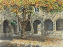 Autumn Shadows (click to enlarge)