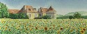 Sunflowers (click to enlarge)